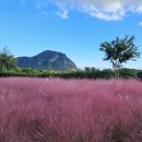 마음의 문 이미지