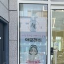 애교래쉬