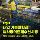 백사장펜션 | 태안 안면도 가볼만한곳 백사장어촌계수산시장 시세는 얼마? 회포장 추천 후기