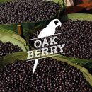 오크베리(OAKBERRY) - 양천구 | 오크베리(OAKBERRY)
