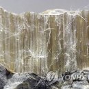 연신초교 이미지