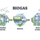 자연바다식품 이미지
