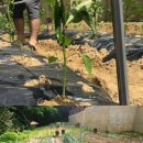 연서농장 이미지