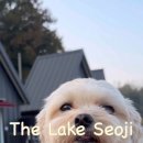 더 레이크 서지 이미지