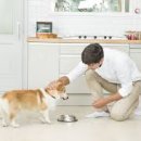 반려동물관리사 이미지