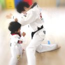 장현 VTA 태권도장 이미지