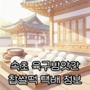 지혜네떡방앗간 | 속초 육구방앗간 찹쌀떡 택배 주문법 및 35년 전통의 맛 후기