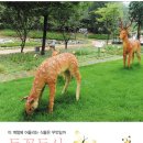 인천나비공원 이미지