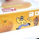 귤대장 | 제주도귤 귤대장 고당도 노지감귤 달콤함팡팡 맛도리네