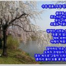 안산 화랑유원지 이미지