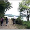 제니앤콩티