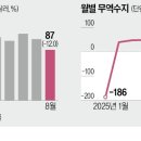 대미 이미지