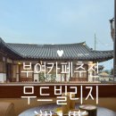 부여 한옥 감성 카페 추천 무드빌리지 후기 | 고양이가 있고, 주차 넉넉한 가족 친화적 카페