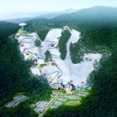 대명종합카 이미지