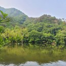 주왕산 국립공원탐방 (25.5.27) 이미지