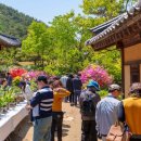 선비촌순흥청국장 | [경상북도 영주시] 영주 한국선비문화축제