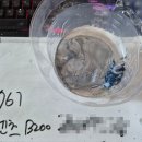 1급자동차공업사논산모터스 | 벤츠판금도색 믿고 맡기는 1급 동탄자동차공업사 세교모터스