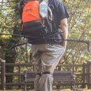 코in제주 이미지