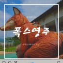 중부-현장-중부-491 | 영주 가볼만한 곳(순흥면행정복지센터,여우생태관찰원, 명동감자탕)