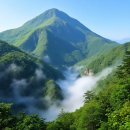 태백산삼마을 | 강원도의 숨겨진 보물, 가리왕산 등산기