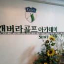 캔버라스크린골프 이미지