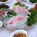 비원쏘가리 이미지