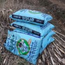 분천농장 이미지