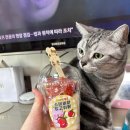 피자나라버거공주 이미지