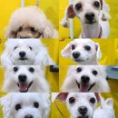 영민메디칼 이미지