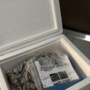 역전꼬막 이미지