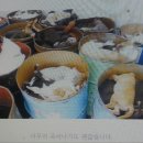 이철 농장 네이버블로그