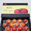 장수사과원예농협 APC | 설선물세트 추천 프레샤인 부사 5kg 달콤한 명절선물