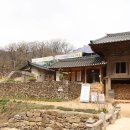 눈내리는커피콩(눈콩) | 완주 화암사