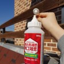 페스트제로