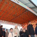 산청-산청-산청센터-01 이미지