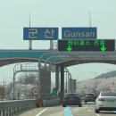 아이리스 | 군산 장자도 선상낚시 체험 아이리스2호 솔직후기ㅣ회떠주는 집