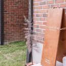 앙떼떼(entete) 이미지