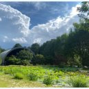 포레스트카라반 이미지