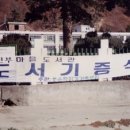 진부새싹길 이미지