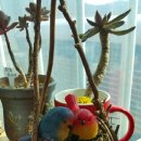 나만의 휴일 이미지