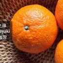 장희농장 네이버블로그