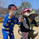 유촌1리 이미지