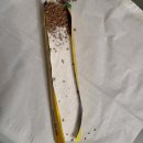 커피 하루 이미지