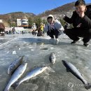 산천어낚시 이미지