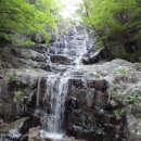 파랑새민박 이미지