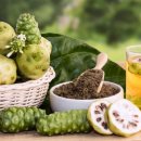 노니 필라테스 이미지