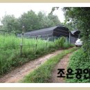 선동목장 Daum카페