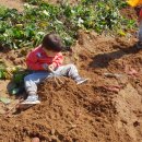 꿈의어린이집 이미지