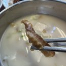 서춘희 인제북어