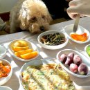 가화만사성농장 | 영암애견동반식당 : 조용하게 여행분위기에서 제대로 된 닭코스를 먹고 싶다면, ‘월출산 동원 산삼농장’